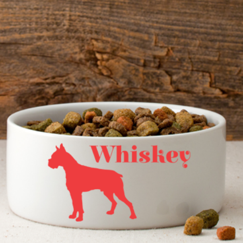 Man's Best Friend Small Dog Bowl